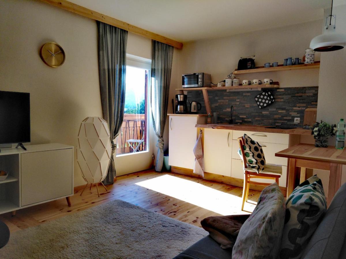 バート・ゴイーザーンHaus Moniアパートメント エクステリア 写真